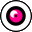 CameraPrive logo